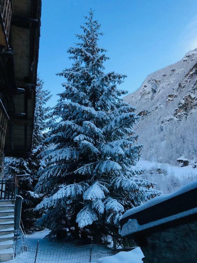 Casa Vacanze Nora Chamois Eksteriør billede